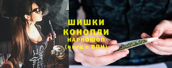 винт Вяземский