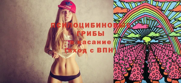 винт Вяземский