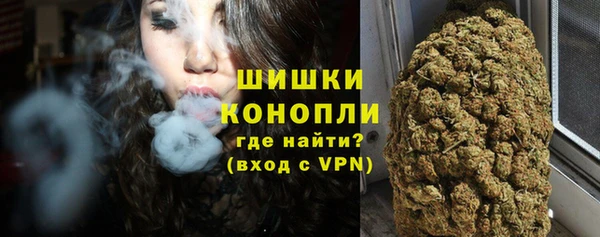 винт Вяземский