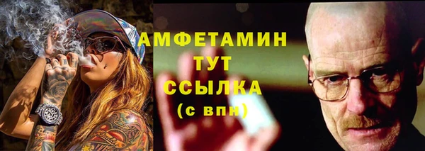 винт Вяземский