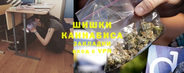 винт Вяземский