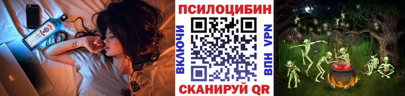 купить наркотик  Подпорожье  Галлюциногенные грибы Psilocybine cubensis 